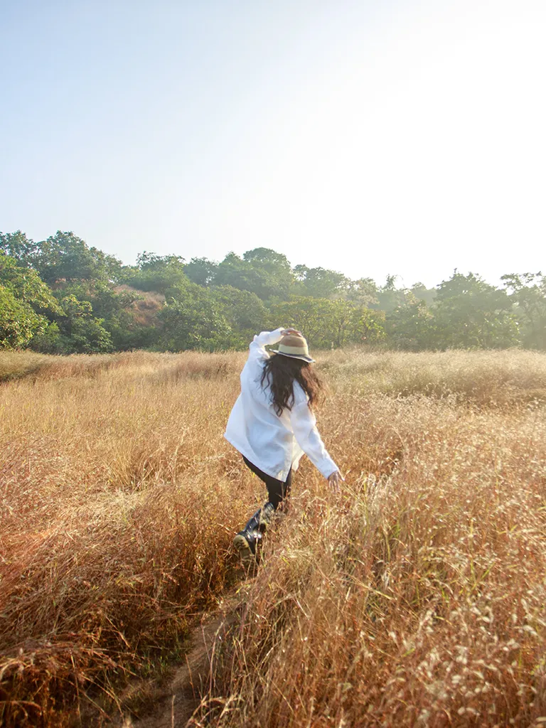 Dharana Essence Of Wellbeing