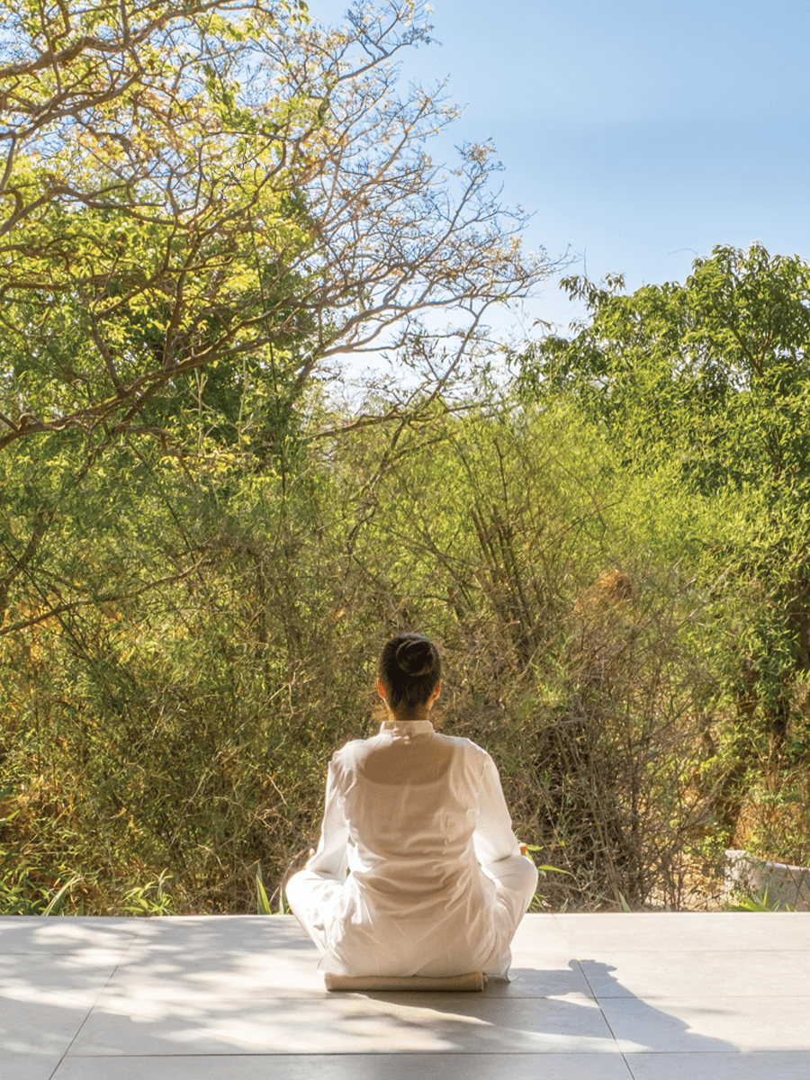 Dharana Ayurvedic Panchakarma
