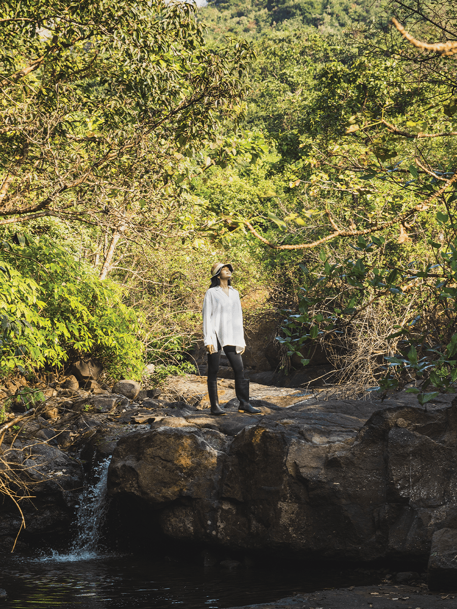 Dharana Ayurvedic Panchakarma