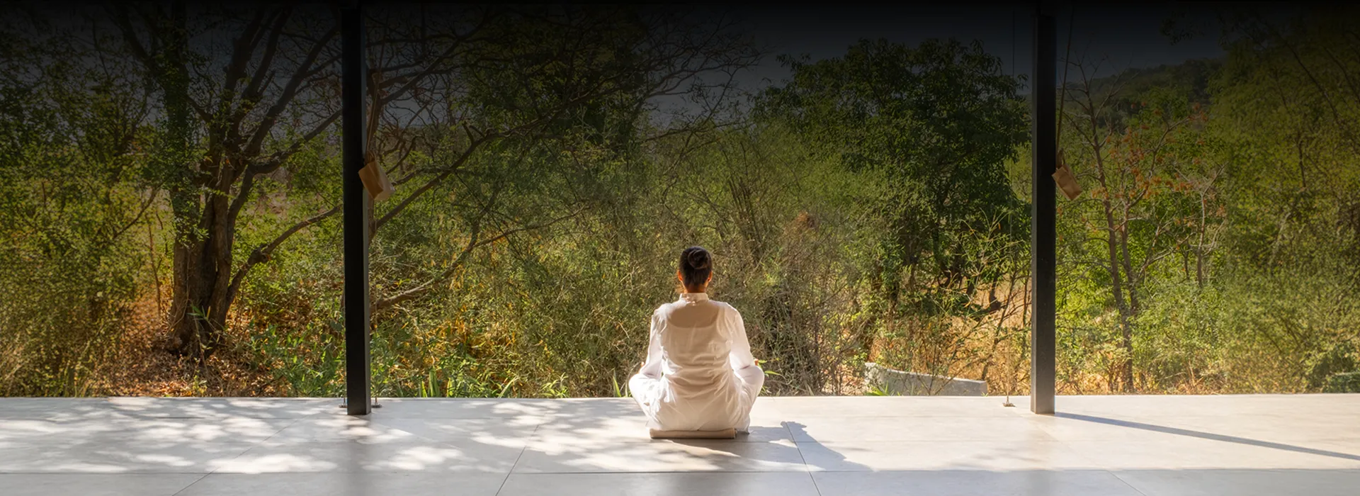 IMMUNITY RASAYANA RETREAT